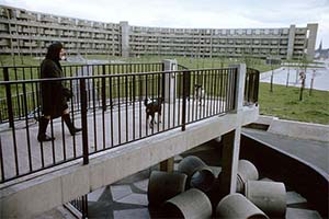 Hooded woman and two dogs walking down concrete ramp with The Crescents flats in background.